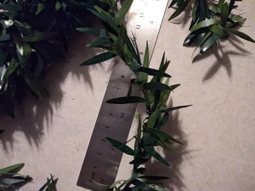 Vista 3 de Mini Wild Leaves Greenery Garland 6 Ft Length