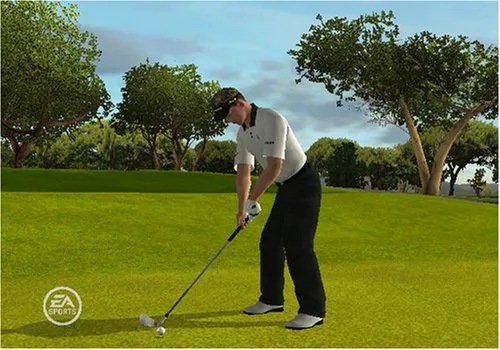 Vista 3 de Tiger Woods PGA Tour 09 All-Play - Nintendo Wii