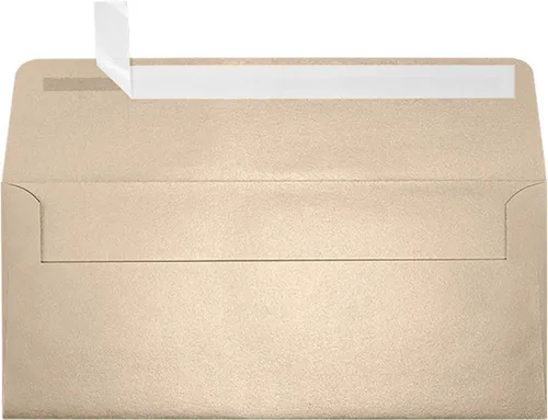 Vista 22 de LUXPaper Sobres de negocios #10 Despegar y prensar 4 1/8 pulgadas x 9 1/2 pulgadas Negro medianoche Texto de 80 libras Cantidad de 1,000