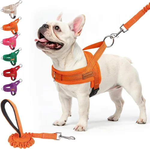 Vista 56 de BEAUTYZOO Arnés para Perros Pequeños, Juego de Arnés y Correa sin Tirones, Arnés de Pecho para Cachorros a Prueba de Escapes con Mango, Arnés Beige
