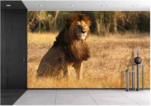 Vista 39 de wall26 - Papel para empapelar autoadhesivo, grande, serie mural., WMR-WP-X-C085-66x24x4