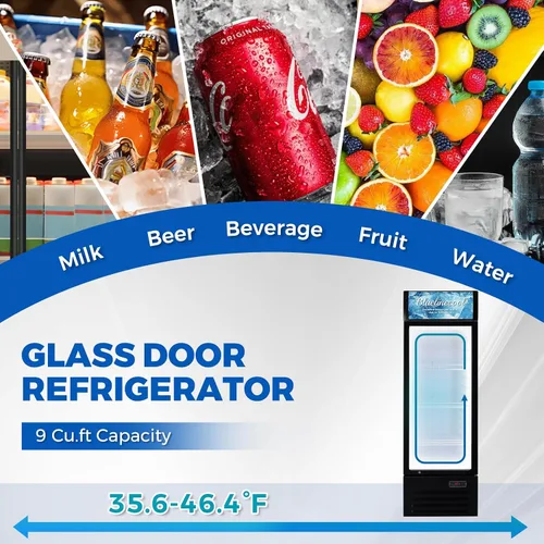Vista 5 de Refrigeradores comerciales Bluelinecool 9 pies cúbicos verticales para exhibición, enfriador de bebidas con puerta de vidrio y luz LED, estantes