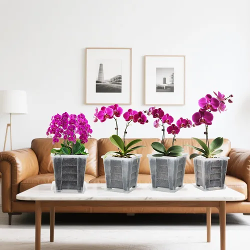 Vista 8 de Maceta cuadrada para orquídeas para interiores, maceta transparente