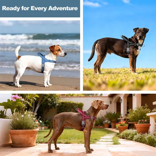 Vista 8 de Arnés sin tirones para perro con asa, ajustable, de malla suave, acolchado, reflectante, arnés para caminar con clip frontal para perros pequeños