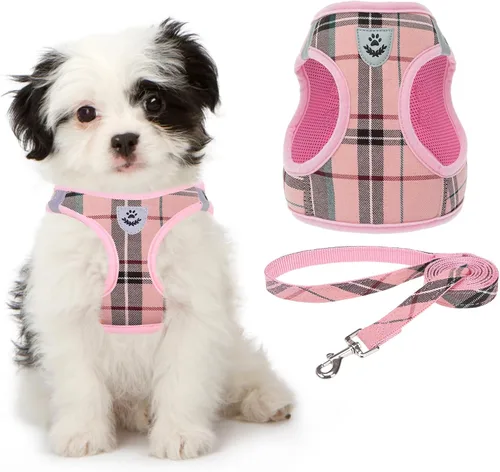 Vista 9 de Arnés de malla suave para cachorros – Juego de arnés y correa para perros pequeños, ajustable y cómodo chaleco reflectante acolchado para cachorros