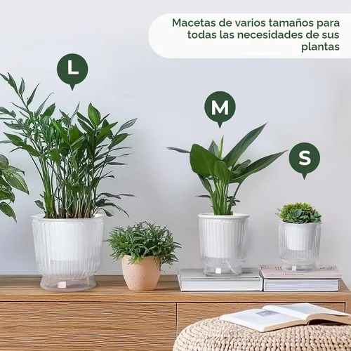 Vista 8 de T4U Macetas de riego automático para plantas de interior de 4 pulgadas Transparente