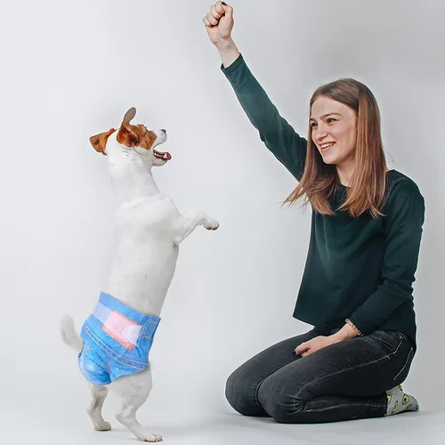 Vista 6 de Pet Soft Pañales desechables para perros hembras, pañales desechables para gatos, pañales para cachorros, 8 unidades, XS