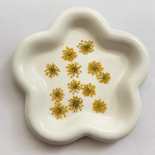 Vista 3 de Ammi majus - Paquete de 100 flores secas prensadas naturales para hacer joyas de resina, fabricación de jabón y velas, álbumes de recortes DIY