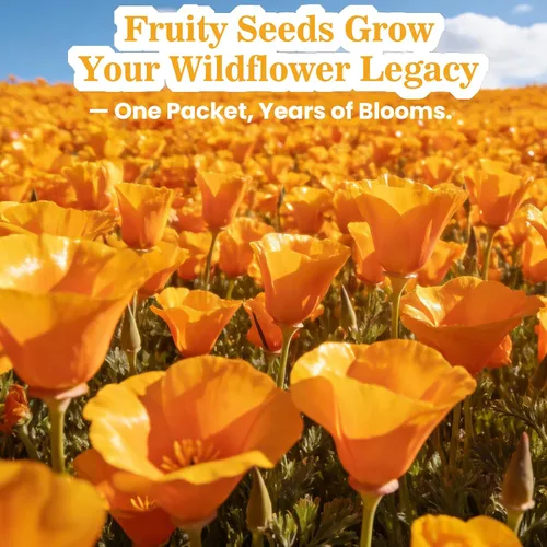 Vista 7 de Eschscholzia californica - Semillas de amapola de California (0.35 oz – más de 10.000 semillas) – Flores silvestres nativas a granel para plantar