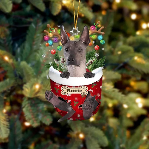 Vista 133 de LOVELYPOD Adorno Personalizado de Perro Affenpinscher, Adornos de Navidad Affenpinscher Regalo para Amante de Perros, Adorno de Navidad Colgante