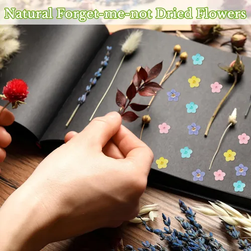 Vista 3 de Tallew 101 piezas de flores naturales "Forget Me Not Dry", flores secas prensadas reales, Don't Forget Me para hacer joyas con pinzas para arte