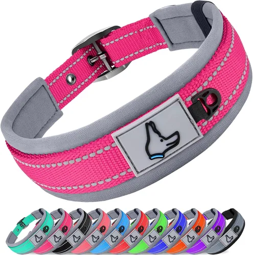 Vista 15 de Joytale Collar para perros pequeños, de neopreno acolchado y ajustable, collares para mascotas reflectantes, anchos y resistentes, con hebilla