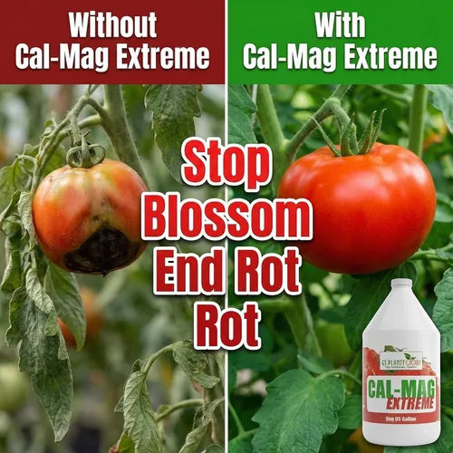 Vista 3 de GS Plant Foods Cal-Mag Extreme Liquid Fertilizante líquido de 1 galón con suplemento de calcio, magnesio, hierro y azufre, corrige las deficiencias