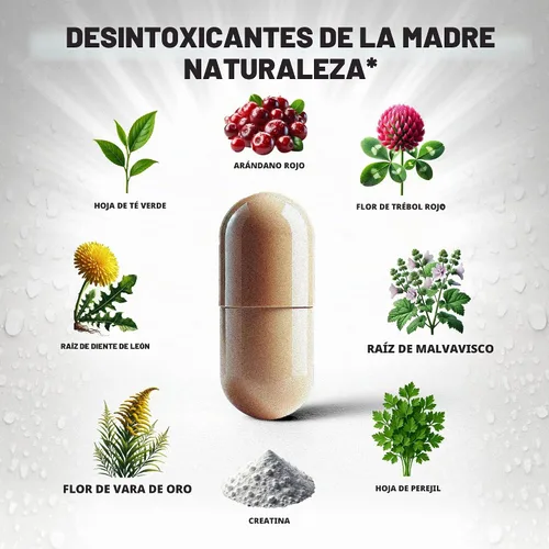 Vista 5 de Rescue Detox - ICE CAPS - 12ct Cápsulas Limpiadoras Concentradas