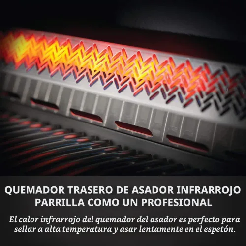 Vista 11 de Napoleon P665NSS Prestige 665 Parrilla de gas natural