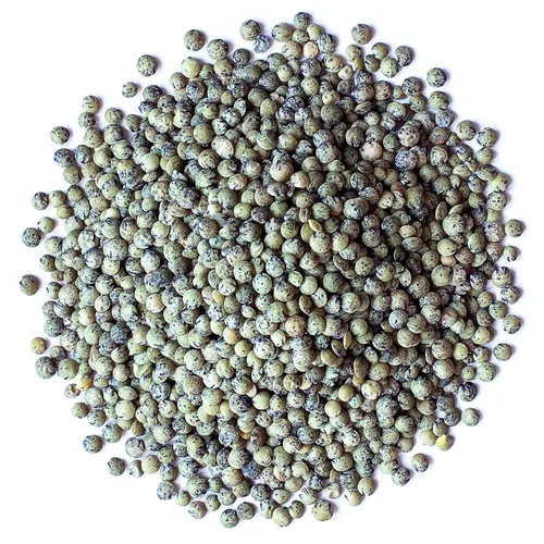 Vista 2 de Food to Live Lentejas verdes francesas orgánicas, 8 onzas, sin OMG, granos secos enteros, crudos, germinables, veganos, kosher, a granel. Ricas