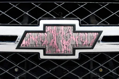 Vista 24 de Mossy Oak Graphics 14010-BI Break-Up Infinity Piel de emblema de auto, Blaze