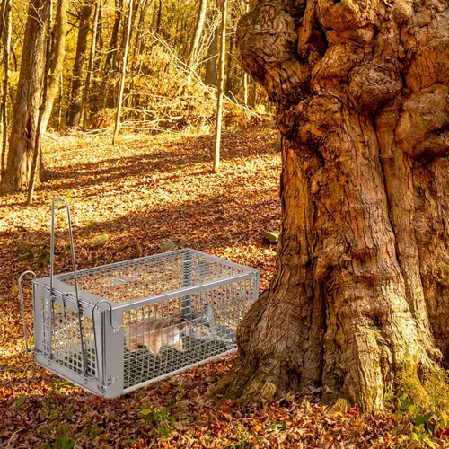 Vista 2 de Trampas humanas para ratas, captura y liberación en vivo para interiores y exteriores, jaula de roedores para ardillas, ratones, ratas pequeñas