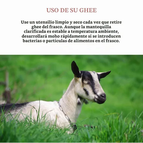 Vista 7 de Mt. Capra Goat Milk Ghee Pastos criados y sin sal 59 porciones