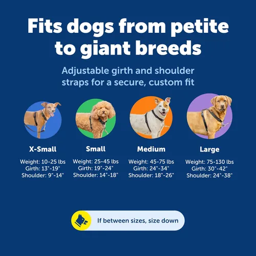 Vista 6 de Arnés PetSafe 3 en 1, de los fabricantes del arnés Easy Walk, XS