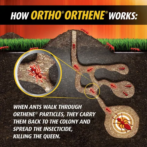 Vista 8 de Ortho Orthene Fire Ant Killer1, 12 onzas (paquete de 12)
