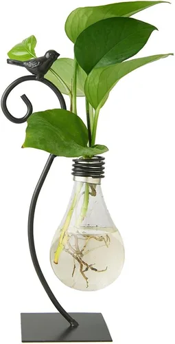 Vista 11 de Marbrasse Jarrón de cristal de escritorio, jarrones de vidrio con forma de bombilla para soporte, jarrón de planta creativa de pájaro con corazón