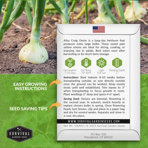 Vista 2 de Semilla de cebolla Ailsa Craig para plantar, 1 paquete con instrucciones para plantar y cultivar cebollas amarillas dulces de día largo para tu