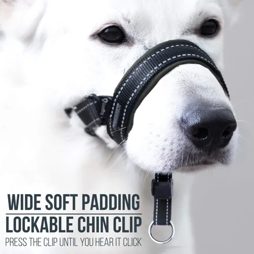 Vista 3 de GoodBoy Cabestro de cabeza de perro con correa de seguridad – Detiene los tirones pesados de la correa – Collar acolchado para perros pequeños
