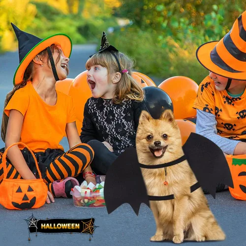 Vista 6 de Vivifying Disfraz de Halloween con alas de murciélago para perro