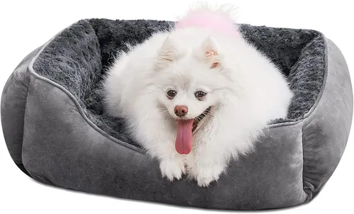 Vista 18 de JOEJOY - Cama rectangular para perros grandes, medianos y pequeños - Cama de sofá ortopédica lavable, suave y transpirable para cachorros