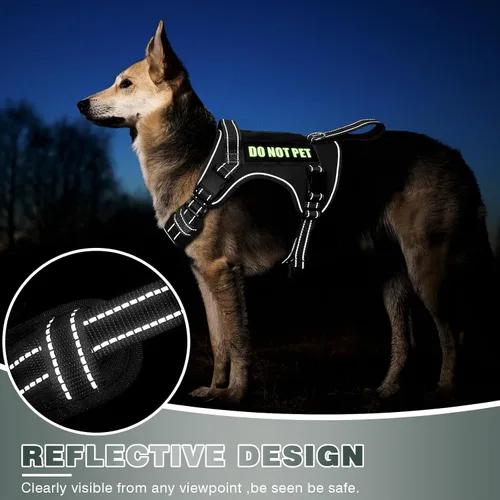 Vista 6 de WINSEE Arnés táctico para perro, arnés sin tirones para perros medianos y grandes con asa y Molle, arnés de servicio militar para perros pequeños