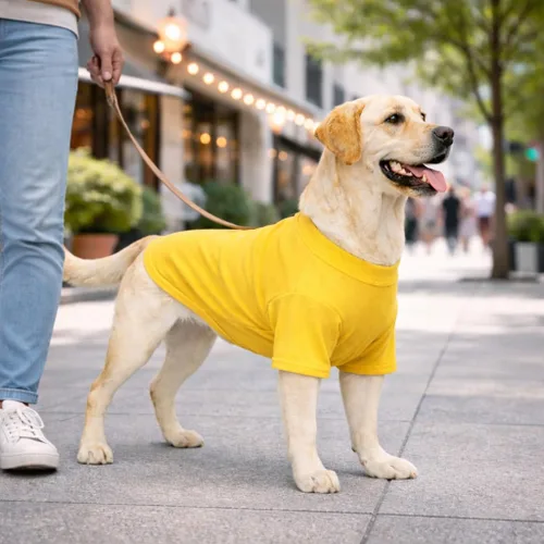 Vista 213 de Lovelonglong 2019 - Ropa para mascotas, Disfraces para Perro, Ropa Camisetas en blanco para Perros Grande Medianos Pequeños 100% Algodón 18