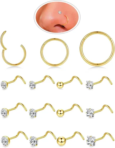 Vista 29 de Nose Rings Hoop and Nose Studs Sets for Women Men,Hypoallergenic 316L Surgical Stainless Steel Hinged Clicker Segment Nose Rings Hoop Helix