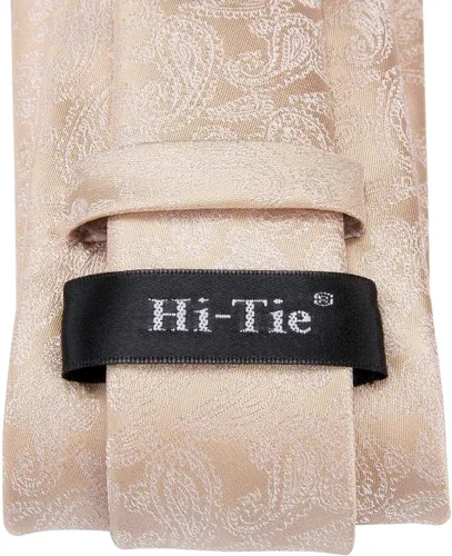 Vista 6 de Hi-Tie Conjunto de corbatas de seda con estampado paisley para hombre, pañuelo de bolsillo y gemelos, conjuntos de corbata formal para negocios a