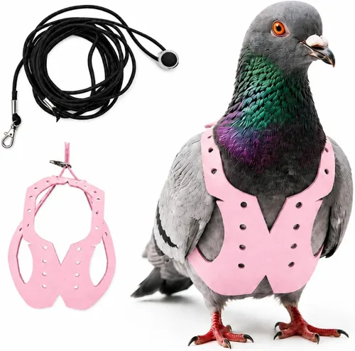 Vista 18 de Juego de arnés ajustable y correa para pájaros pequeños, apto para periquitos, conures, cacatúas, mejillas verdes, loros cuáqueros (verde, XS) 6350-6