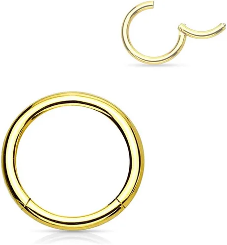 Vista 114 de Forbidden Body Jewelry - Piercing para la nariz de acero quirúrgico 316L con bisagra, 14G, 16G, 18G, diámetro de 15/64, 5/16, 25/64, 15/32 pulgadas