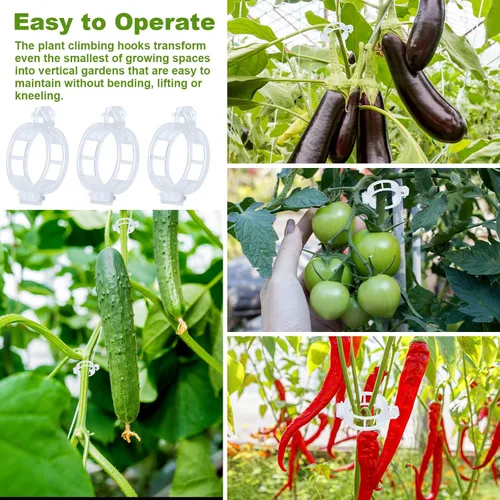 Vista 6 de 20 ganchos de tomate con cuerda, ganchos de soporte de tomate, ganchos de soporte de tomate y clips de soporte para plantas con cordel de 33.3 pies
