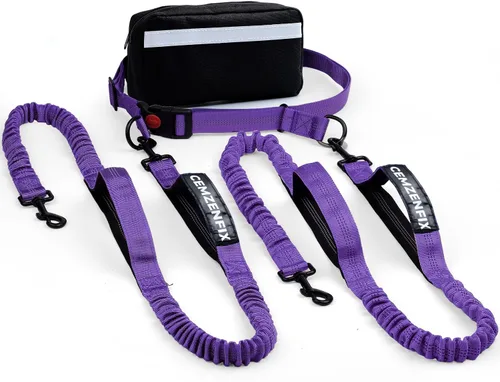 Vista 19 de Correa de perro manos libres con cinturón – Bungee sin tirones, asas acolchadas dobles y bolsa con cremallera para correr, caminar y entrenar