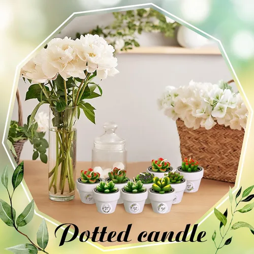 Vista 7 de MTLEE Maceta de velas de cactus, 18 velas de cera de parafina para suculentas con mini macetas de arcilla de terracota blanca, para recuerdos