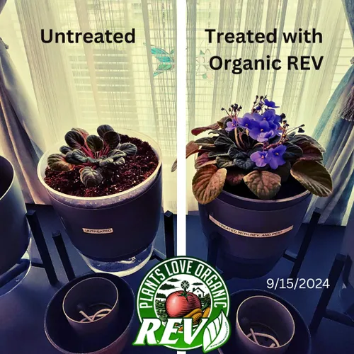 Vista 5 de Organic REV - Alimento vegetal natural de 32 onzas para plantas más saludables