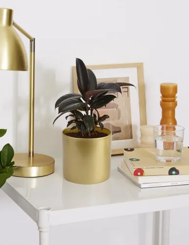Vista 6 de Vixdonos Macetas de Metal para Flores Maceteros de Jardín Contenedores Redondos para Suculentas de Interior, Paquete de 2 Macetas para Cactus