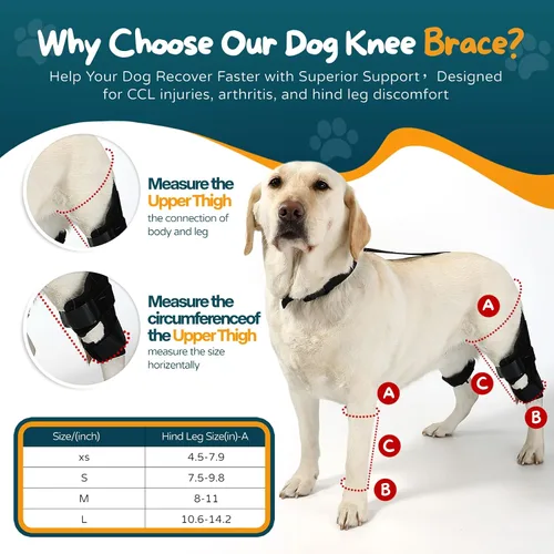 Vista 2 de Rodillera para perro ACL para perro, soporte para pierna trasera para perro ACL con collar adicional y soporte para tratar la artritis