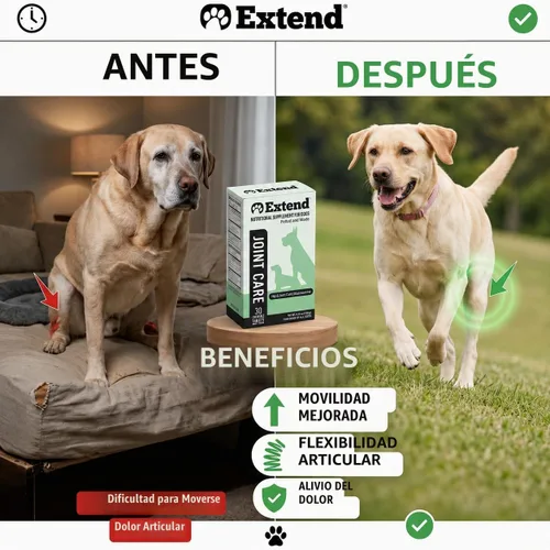 Vista 2 de Suplemento para perros Extend, cuidado de articulaciones para perros, suministro para 1 mes, glucosamina para perros con MSM y ácido ascórbico
