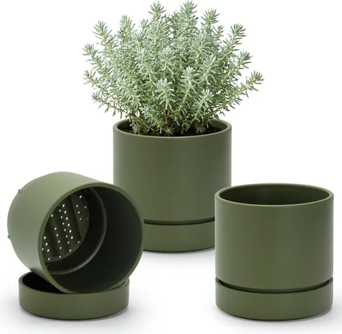 Vista 38 de Phoenix Vine 4 Inch Planter Pot with Drainage Hole & Saucer, Deep Water Catch Tray, Straight Cylindrical Round Pot for Plants, Olive, Pack of 1