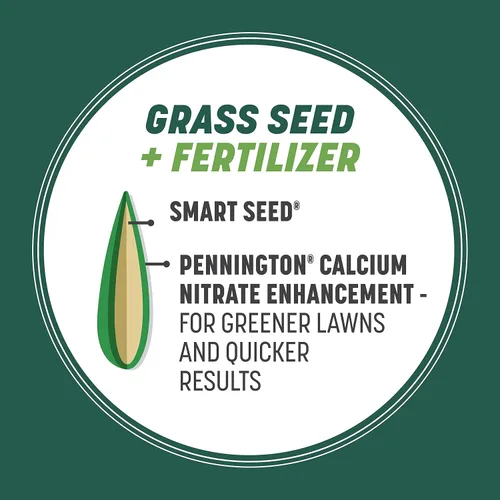 Vista 4 de Pennington Smart Seed Sol y Sombra Mezcla de Semillas de Césped Festuca Alta para Céspedes del Sur 3 lb