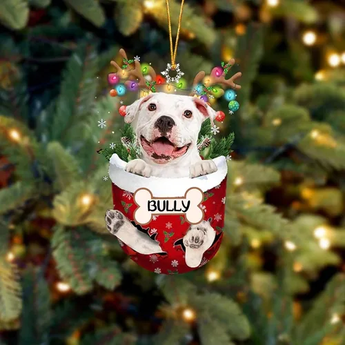 Vista 74 de IZI POD Affenpinscher Adorno de Navidad personalizado para perro, adorno de bolsillo de nieve para perro para árbol de Navidad, adorno acrílico