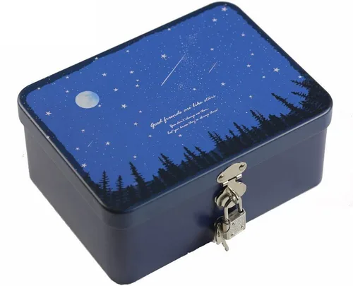 Vista 10 de dream_light Caja de almacenamiento rectangular de hojalata de estilo retro con candado, caja de almacenamiento de escritorio de cocina