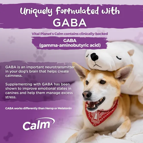 Vista 5 de Vital Planet - Masticables suaves y calmantes para perros, promueve la calma en situaciones estresantes con GABA, calostro, valeriana, cúrcuma
