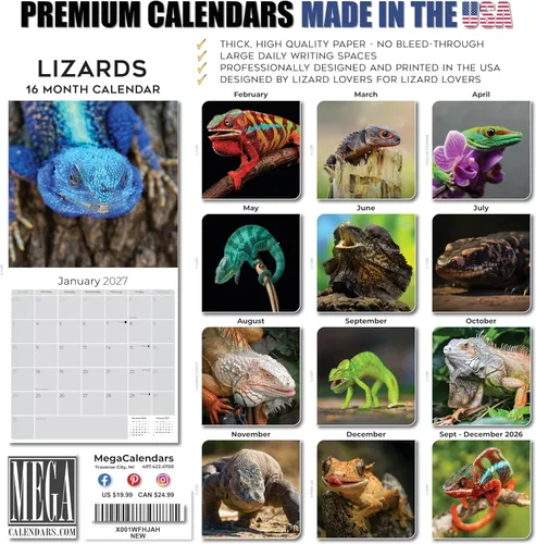 Vista 139 de Calendario de grises africanos 2025 2026 – Planificador mensual de pared de aves africanas – 12 x 18 pulgadas (abierto), calendario de pared