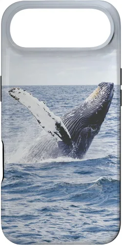 Vista 27 de Whale Case for iPhone 17